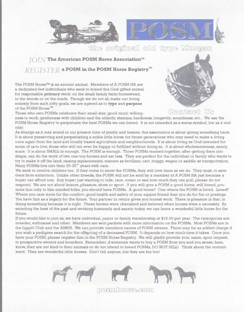 posmhorseweb1.png